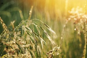 Home Buienradar Amstelveen app interface toont interactieve weerskaart met regenbuien en weerinformatie voor Amstelveen
