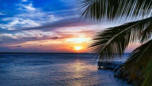 Home Tropical paradise eilanden voor een Caribbean cruise met wit zand, turquoise water en palmbomen