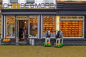 Home Karakteristieke houten voordeur in oude Goudse straat met bescherming tegen kromtrekken en vochtigheid