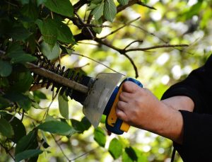 Home Gids en checklist voor onderhoud, styling en groen met stappenplan voor huis- en tuinverzorging